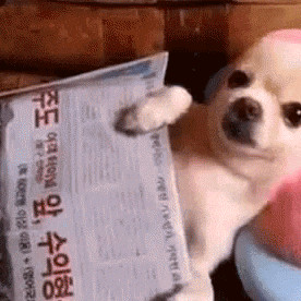 동인지 외 기타 등등 5권