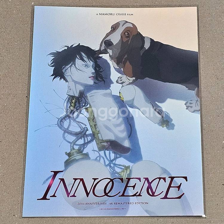 이노센스 시그니처 아트카드--0