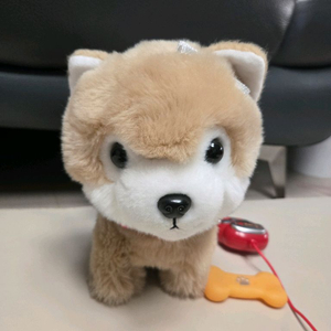 강아지 장난감 인형 콩이 팝니다.