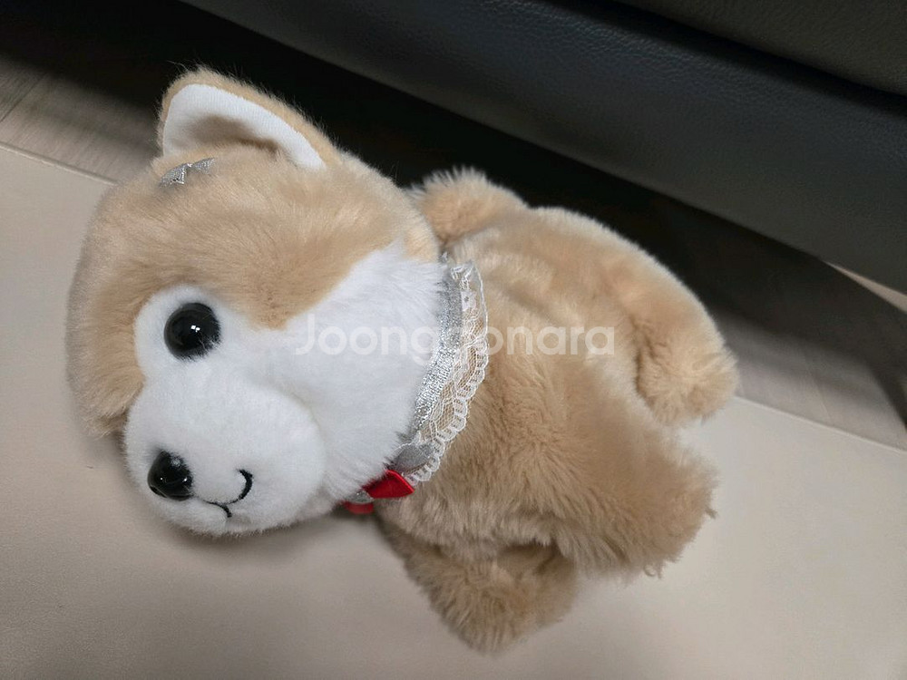 강아지 장난감 인형 콩이 팝니다.--1