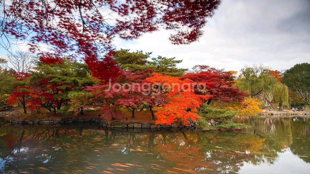 갤럭시탭 s9울트라 60만 삽니다--0