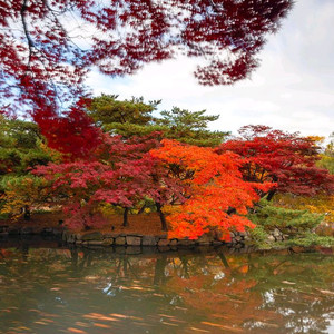 갤럭시탭 s9울트라 60만 삽니다