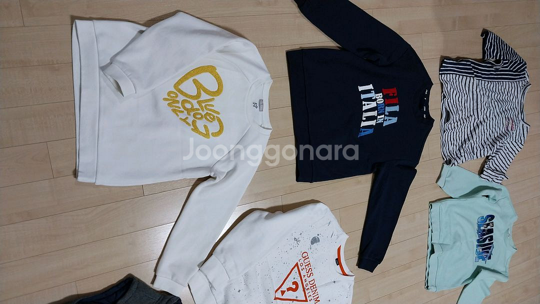 남아 140호 불루독 기모 반팔 추가 일괄택포--1