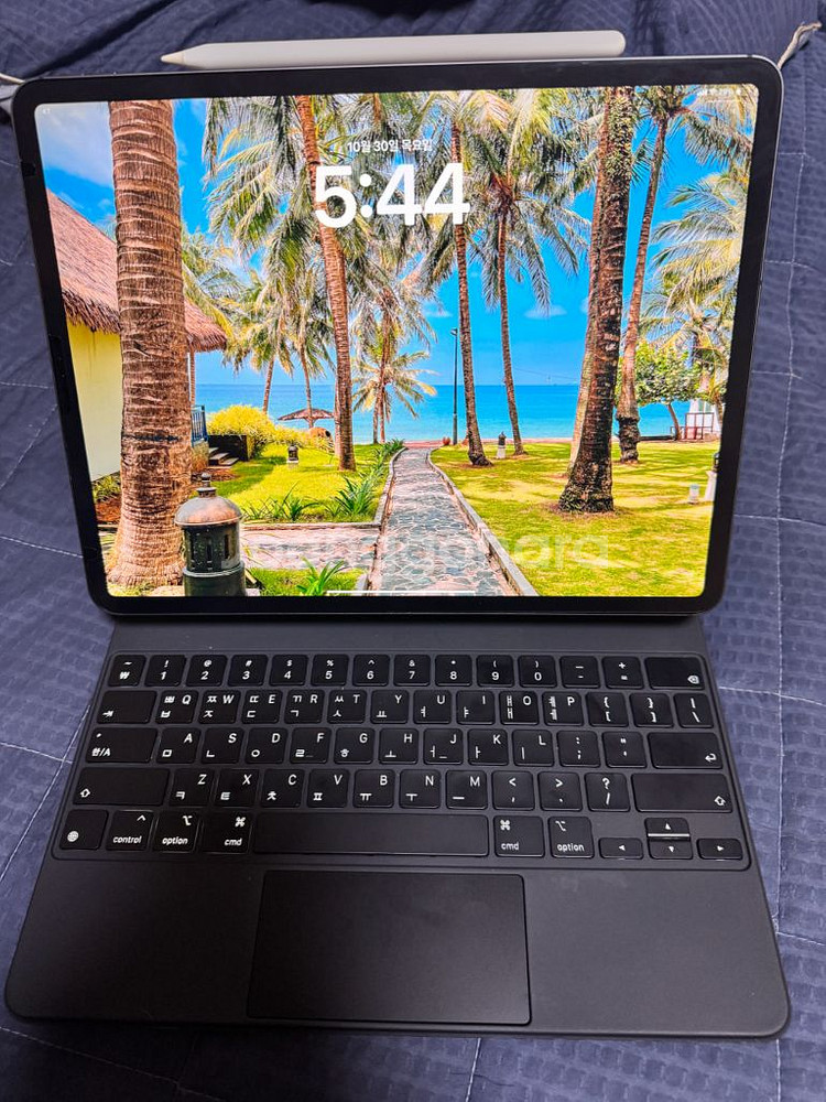 [새상품급] 아이패드 프로12.9 (4세대)256GB 셀룰러 + 매직키보드 + 애플펜슬2--0