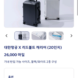 대한항공 리드볼트 캐리어 20인치