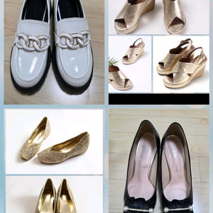 240정사이즈 일괄 소다 텐디 닥스 마인 sjsj