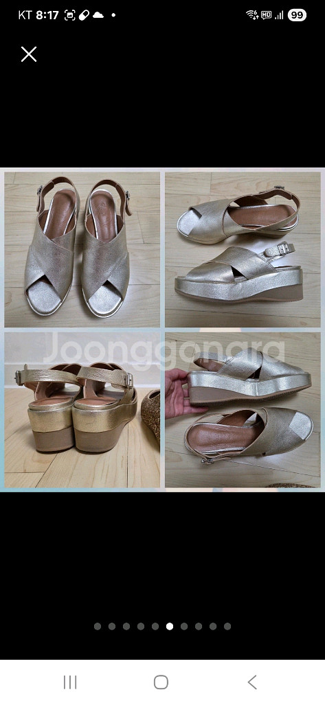 240정사이즈 일괄 소다 텐디 닥스 마인 sjsj--6