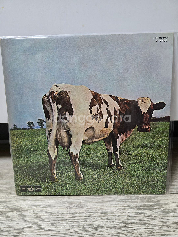 핑크플로이드 5집 LP--0