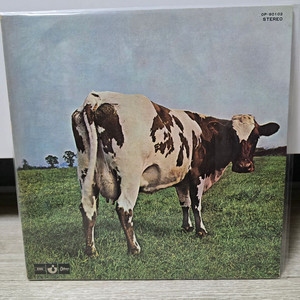 핑크플로이드 5집 LP