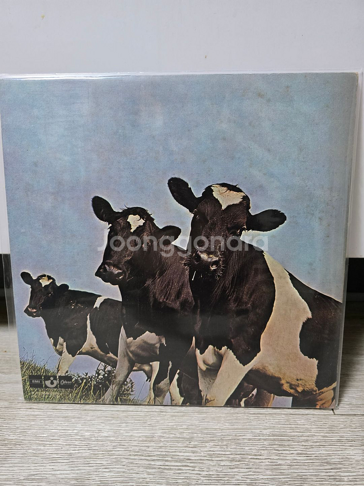 핑크플로이드 5집 LP--1