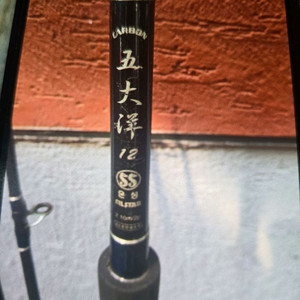 낚시대. 루어대