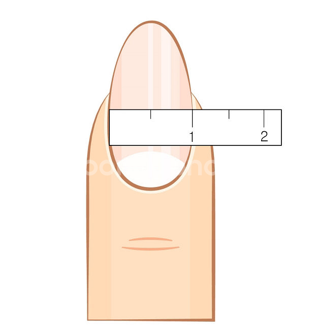 [인기판매1위]--2
