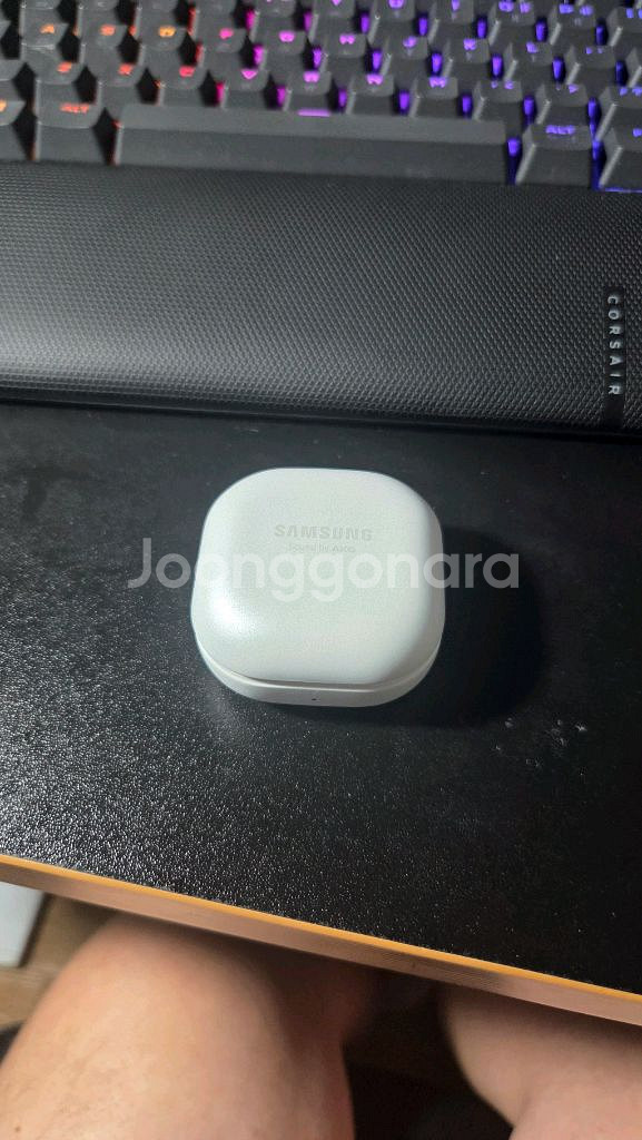 갤럭시버즈1프로--3