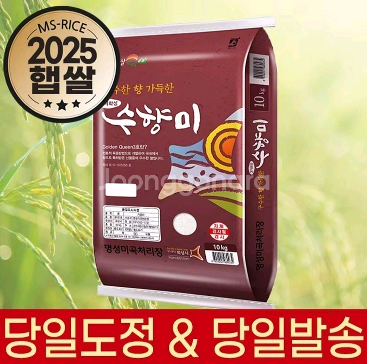 25년산 올해햅쌀 골드퀸3호 수향미 쌀10kg 무료배송37900원--0