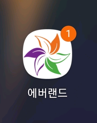 에버랜드 자유이용권 종일권--0