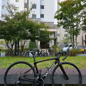 스페셜라이즈드 루베