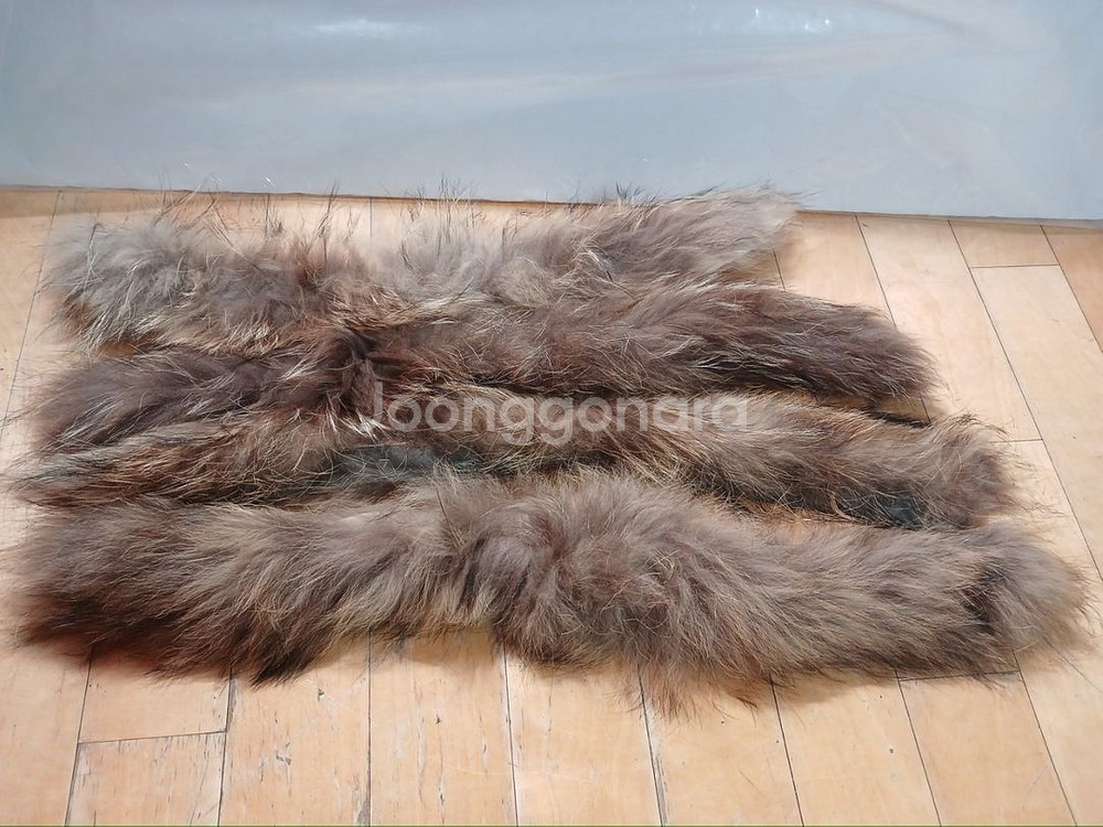 라쿤털 4종. 덤2종 일괄--0