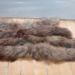 라쿤털 4종. 덤2종 일괄