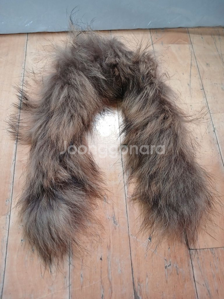 라쿤털 4종. 덤2종 일괄--2