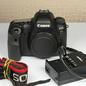 캐논 EOS 6D mark2 바디, 육두막
