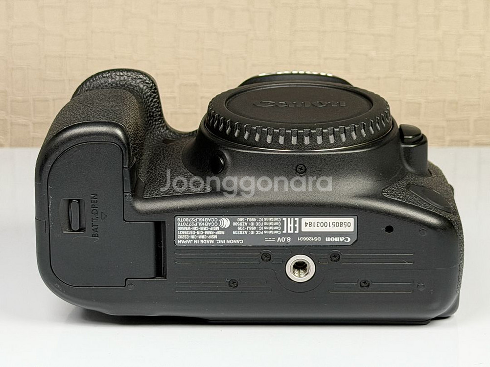 캐논 EOS 6D mark2 바디, 육두막--5