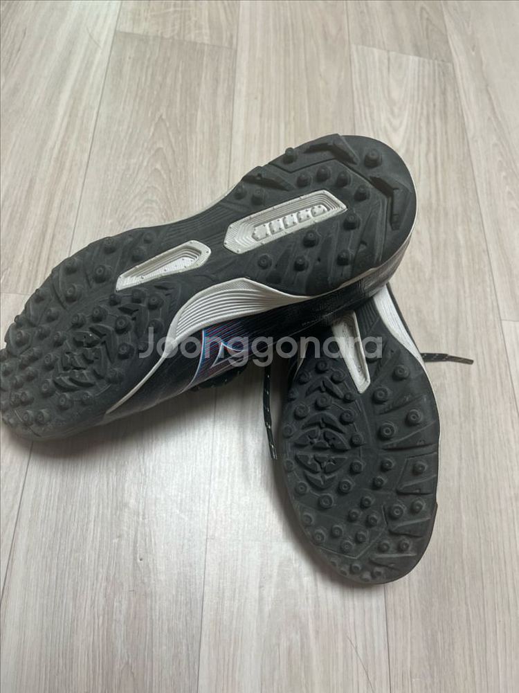 미즈노 알파 엘리트 as 255--1