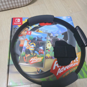 닌텐도 스위치 링피트