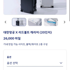 대한항공 리드볼트 콜라보 캐리어 20인치 팝니다