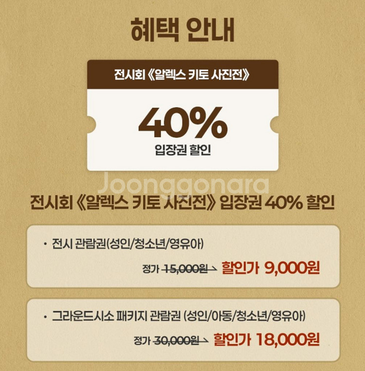 알렉스 키토 사진전 할인예매 최소4인(~11/23)--1