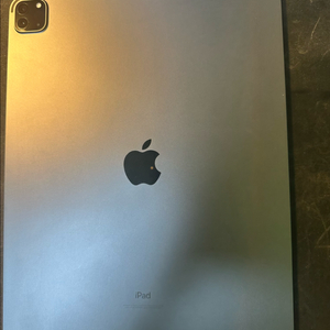 아이패드 프로4세대 12.9인치