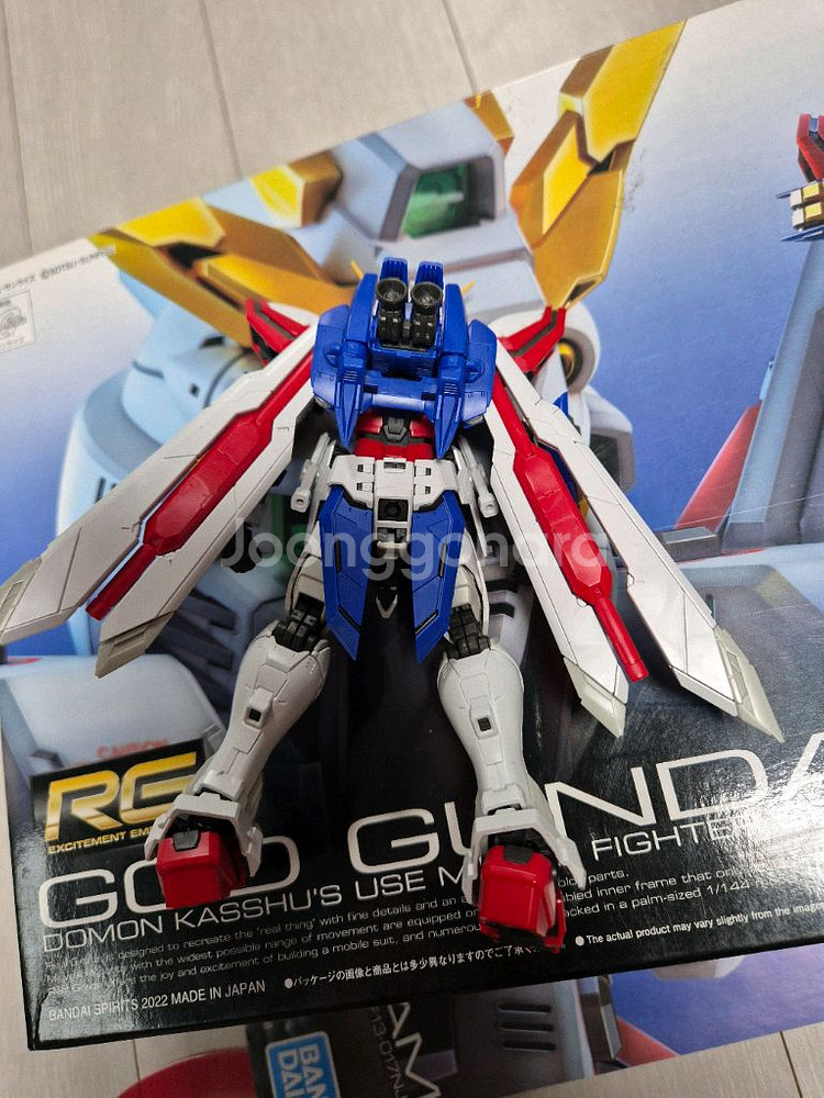 RG 갓건담 가조--2