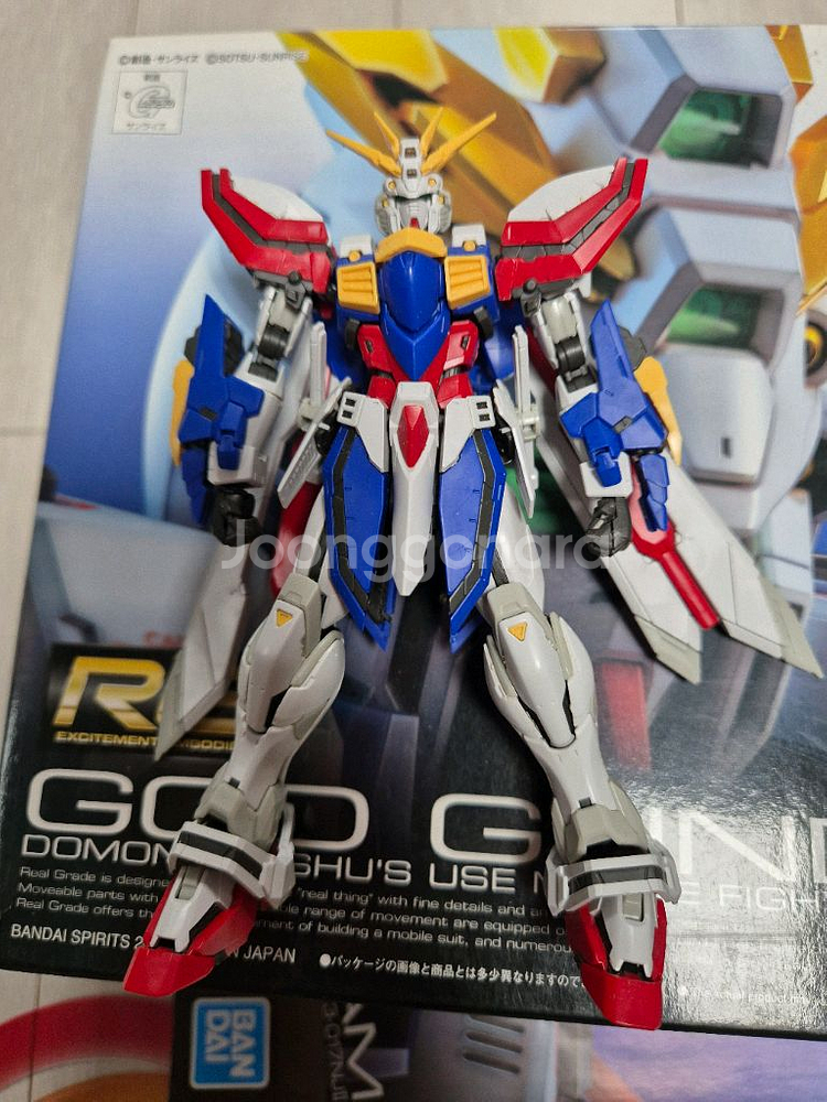 RG 갓건담 가조--1