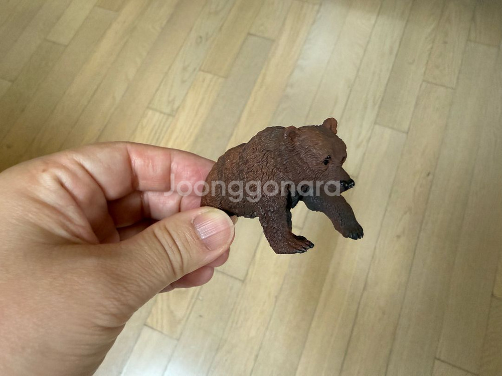 콜렉타 컬렉타 아기 불곰--1