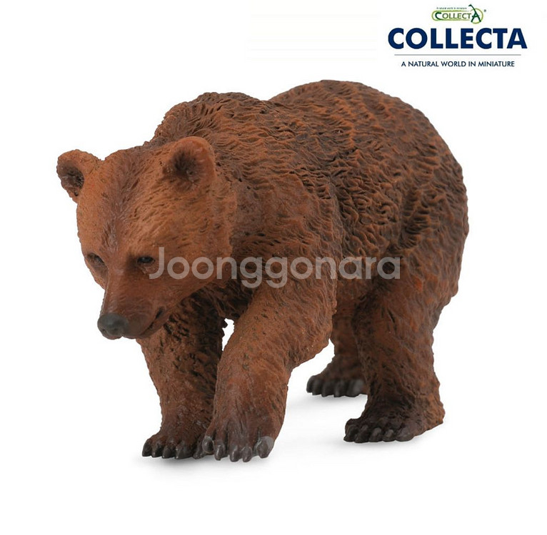 콜렉타 컬렉타 아기 불곰--0
