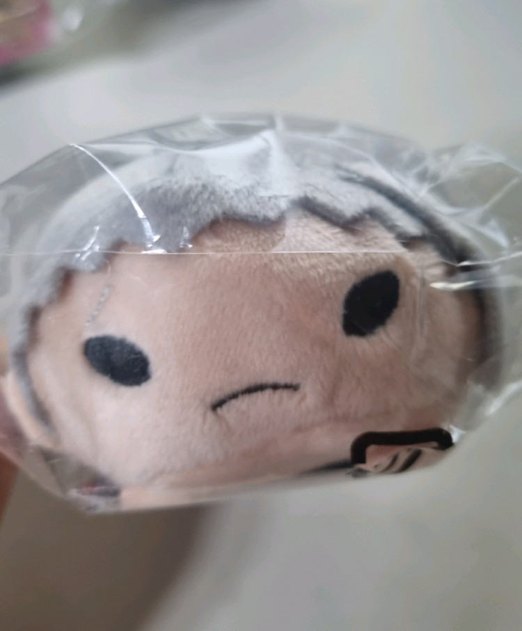 미개봉) 사카모토 데이즈 타로 jcc 쯔무 노루캬라 사카데이 인형 누이--1