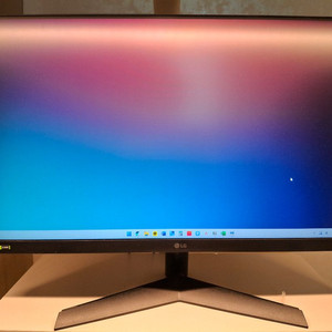 LG GS60F 24인치 180hz