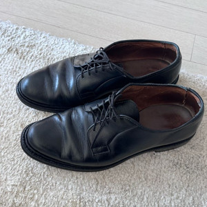 알렌 에드몬즈 리즈 더비