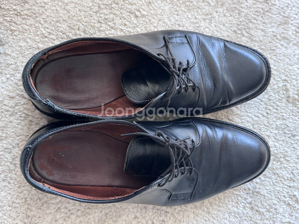 알렌 에드몬즈 리즈 더비--3