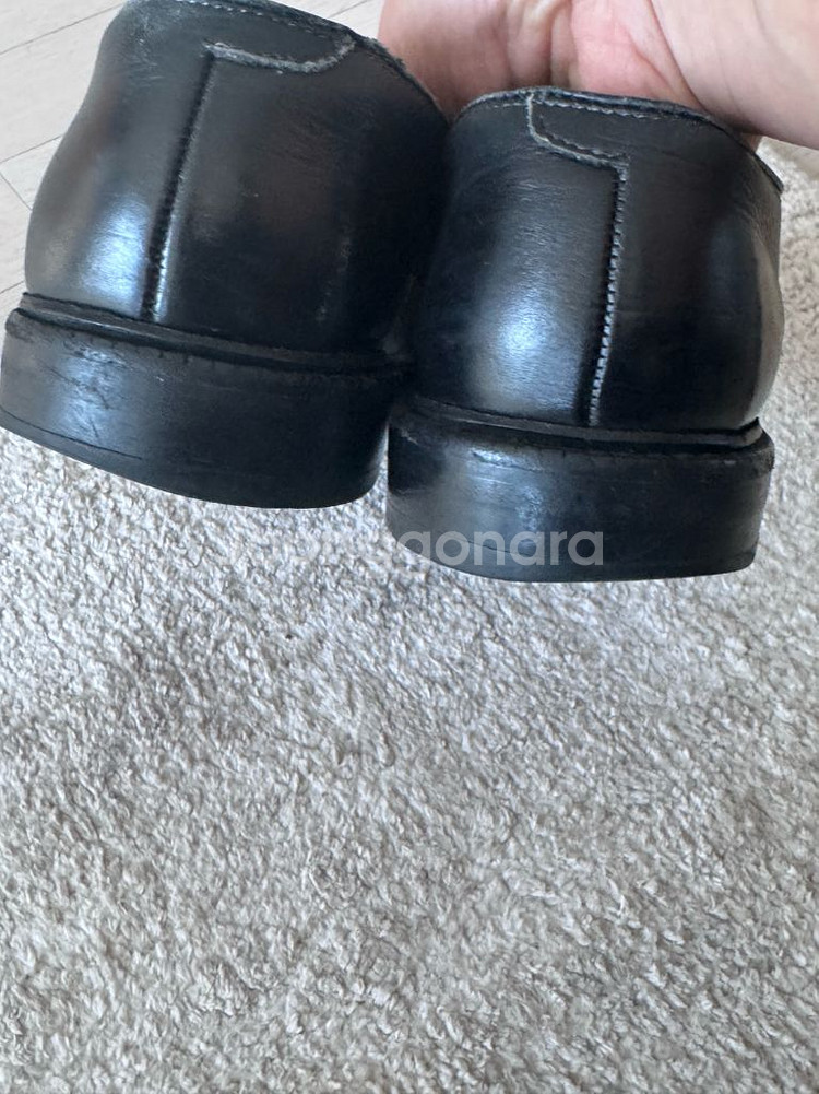 알렌 에드몬즈 리즈 더비--5