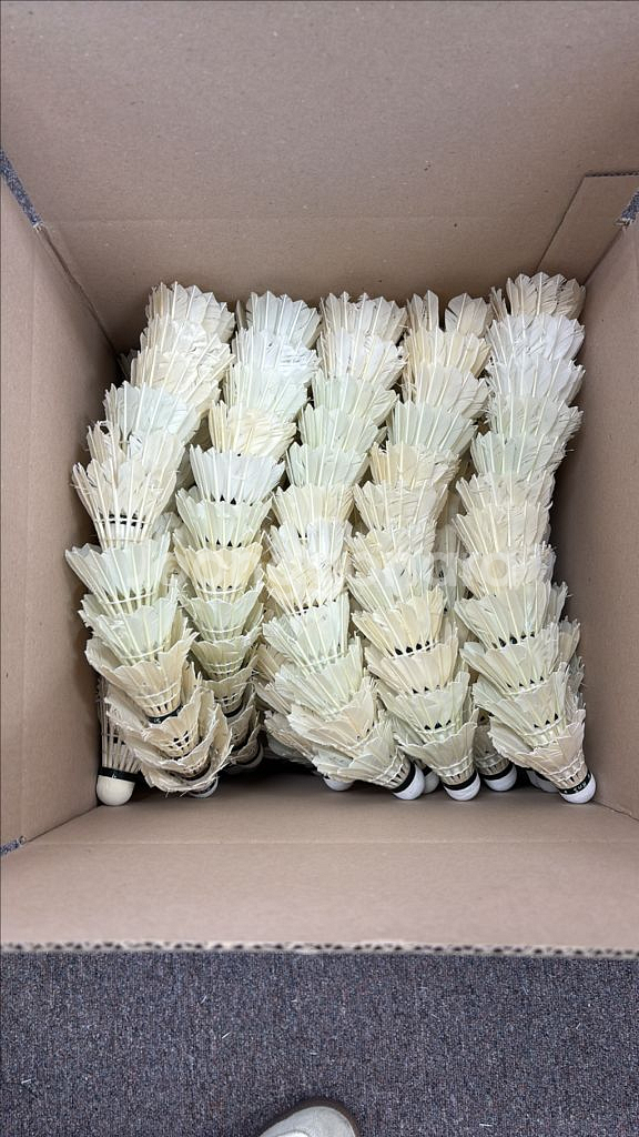 셔틀콕 레슨용 헌콕 헌볼 중고콕--3