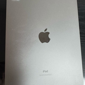 아이패드 프로 2세대 11인치 256GB