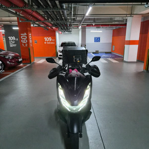 21년식 혼다 pcx (개인)