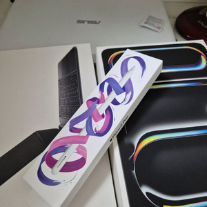 아이패드 프로 14인치 M4 256GB