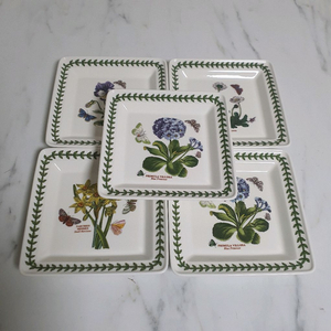 보타닉가든 코코넛 트레이 세트