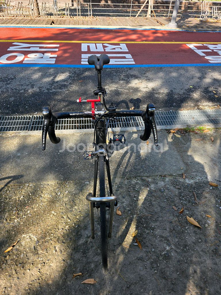 첼로 엘리엇 S8 풀카본 울테그라 로드 자전거 490--3