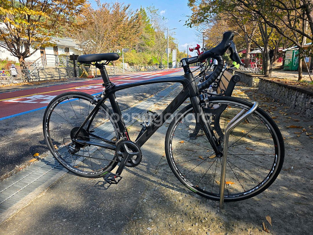 첼로 엘리엇 S8 풀카본 울테그라 로드 자전거 490--2