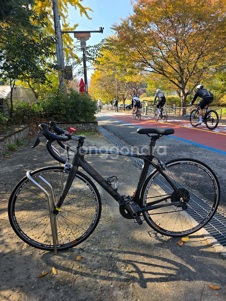 첼로 엘리엇 S8 풀카본 울테그라 로드 자전거 490--0