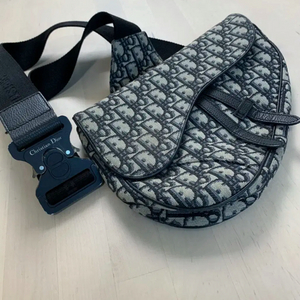 디올 오블리크 새들백