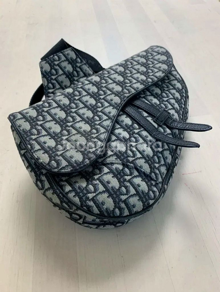 디올 오블리크 새들백--1