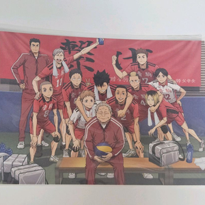 하이큐 쓰레기장의 결전 특전 네코마 단체사진